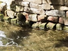 -水磨沟公园