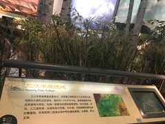 景点-中国湿地博物馆