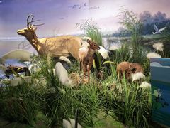 -湖南省地质博物馆