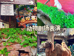 -长鹿旅游休博园