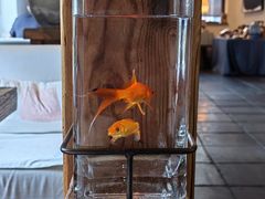 -瓦库茶馆17号(海汇港店)