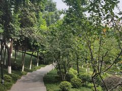 -龙头寺公园