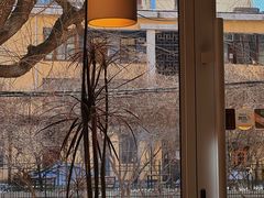 -团子君寿司·茶