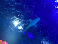 -沈阳海洋探索中心