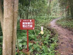 -都江堰中华大熊猫苑
