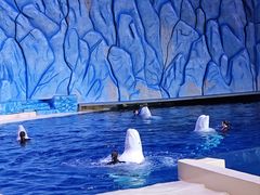 -珠海长隆海洋王国