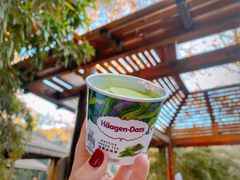 -春晖园度假酒店温泉