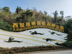 -西双版纳原始森林公园