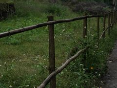 -白鹭湾湿地公园