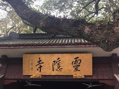-灵隐飞来峰景区