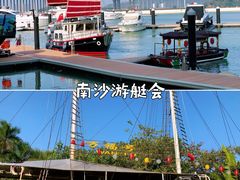-黄山鲁森林公园