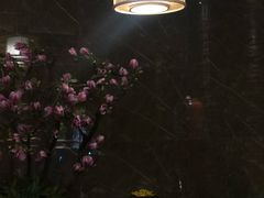 -大桶大足浴(陈春路店（3公里左右免费接送）)