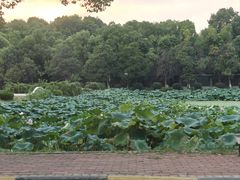 -谷咖啡·鲜花绿植花园餐厅