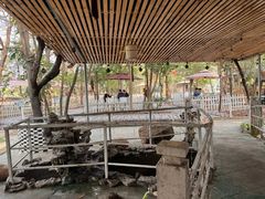 -陶缘一号·四季缘·老字号顺德菜·户外婚礼家宴(西滘店)