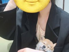-逗柴咖啡屋·狗咖猫咖宠物桌游
