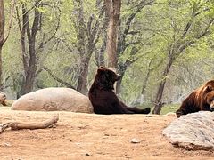 -北京野生动物园