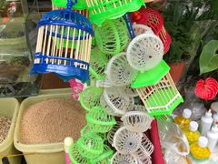 -曲阳花鸟市场(曲阳路店)