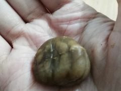 -粒上皇(上下九店)
