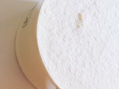 -巴黎贝甜(周浦海印店)