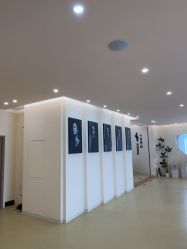 -十月孕记孕妈妈摄影