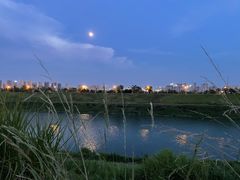-洋湖国家湿地公园