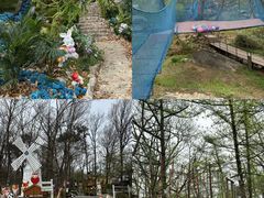 -沂蒙山旅游区云蒙景区(蒙山国家森林公园)