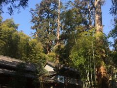 -天目山-昭明禅寺