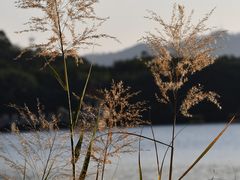-番禺大夫山森林公园