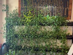 -孙三拨按摩拨筋(五一路店)