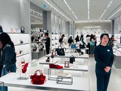 -Charles & Keith(大运河购物中心店)