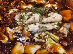 水煮鱼-庆合府重庆大排档(紫都城店)