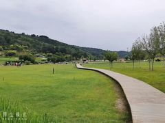 -南泥湾风景区
