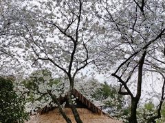 -中国茶叶博物馆(双峰馆区)