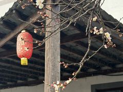 -三山岛