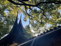 -西园戒幢律寺