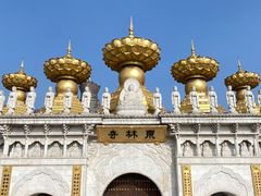 -上海东林寺(金山区)