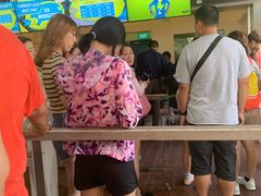-圣淘沙天际线斜坡滑车