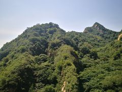 -大岭沟猕猴桃谷风景区