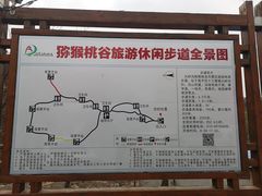 -大岭沟猕猴桃谷风景区