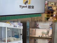 -翊宠yipet猫狗购宠庄园犬舍•猫舍