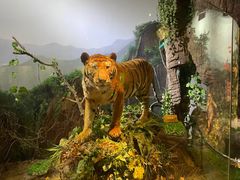 -陕西自然博物馆