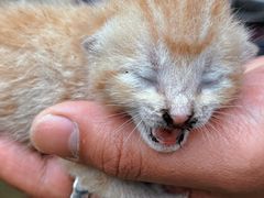 -不觉晓CAMPING(上海迪士尼营地店)