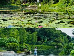 -云溪植物园