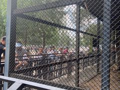 -长白岛森林公园