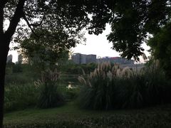 -尚贤河湿地