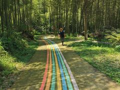 -仙岛湖旅游风景区