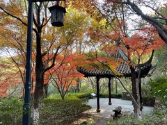 -杭州半山国家森林公园