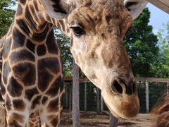 -清迈夜间动物园