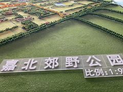 -嘉北郊野公园