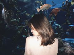-瑞普利水族馆